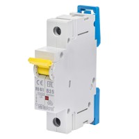 786100042000 - Автоматический выключатель RI61, 1P In=25 A, Кривая B, 10 кА, Iskra