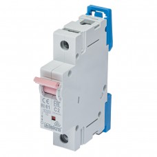 786100049000 - Автоматический выключатель RI61, 1P In=2 A, Кривая C, 10 кА, Iskra