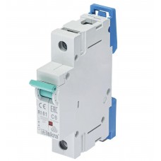 786100052000 - Автоматический выключатель RI61, 1P In=6 A, Кривая C, 10 кА, Iskra