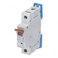 786100062000 - Автоматический выключатель RI61, 1P In=63 A, Кривая C, 10 кА, Iskra