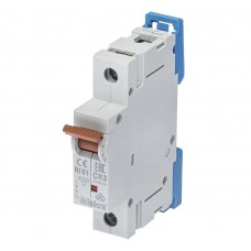 786100062000 - Автоматический выключатель RI61, 1P In=63 A, Кривая C, 10 кА, Iskra