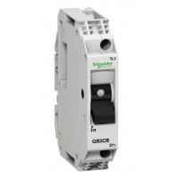 GB2CB14 – Автоматический выключатель с комбинированным расцепителем TeSys, 1P Ith-8 A, Schneider Electric