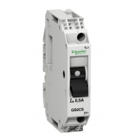 GB2CS06 – Автоматический выключатель с комбинированным расцепителем TeSys, 2P Ith-1 A, Schneider Electric