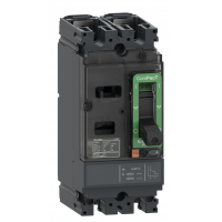 C16F2TM125 – Автоматический выключатель ComPacT NSX160F TMD, 2P In-125 A, 18 кА, AC/DC, Schneider Electric