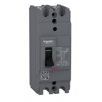 EZC100H2025 - Автоматический выключатель EasyPact EZC100H, 2P In-25 A, 30кА, Schneider Electric