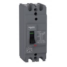 EZC100H2025 - Автоматический выключатель EasyPact EZC100H, 2P In-25 A, 30кА, Schneider Electric