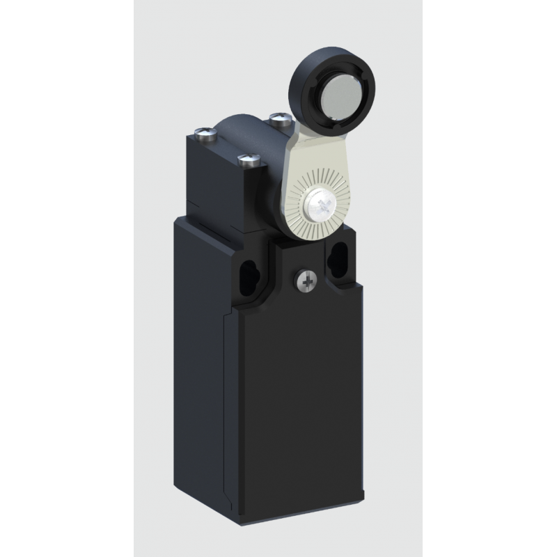 AP3T41Z11 - Концевой выключатель с нейлоновым роликовым рычагом, 1NO+1NC, IP65, Comepi