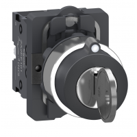 Переключатель без фиксации, 2 положения, с ключом, извлечение в левом положении, 2NO, серия XA2, Schneider Electric (XA2EG63)