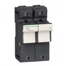 DF222- Держатель предохранителя TeSys DF, 2P Ie-125A, 22×58 мм, Schneider Electric