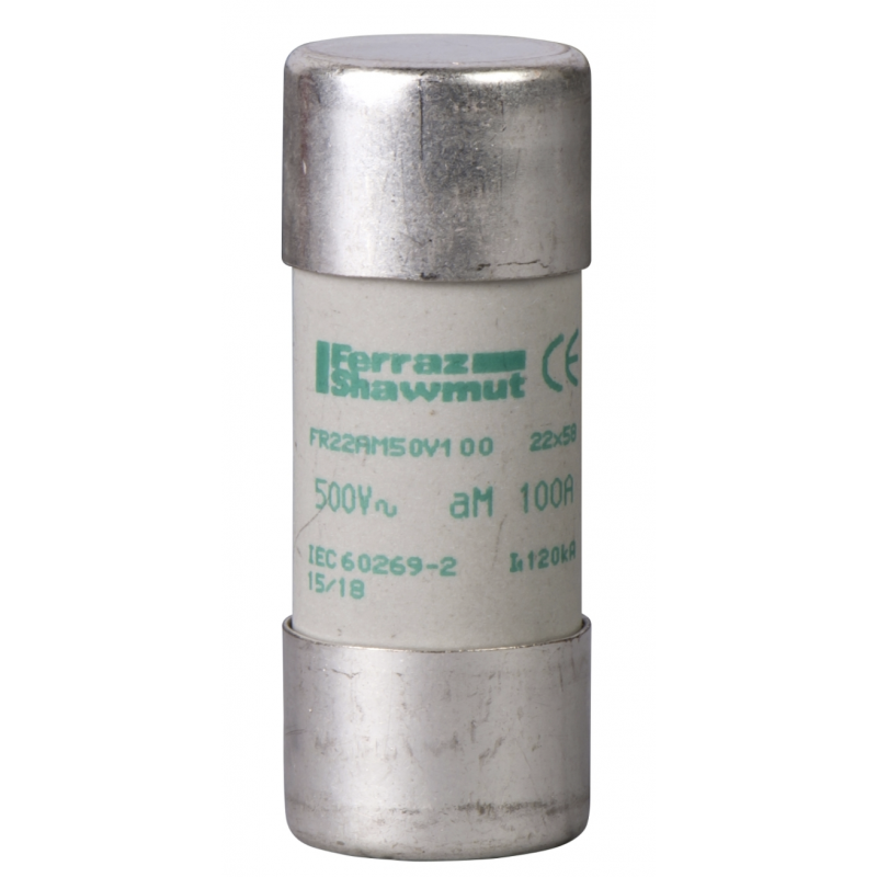 DF2FA100 - Предохранитель TeSys DF, 100 A, 22×58 мм, аМ, 500 В АС, (10 шт) Schneider Electric