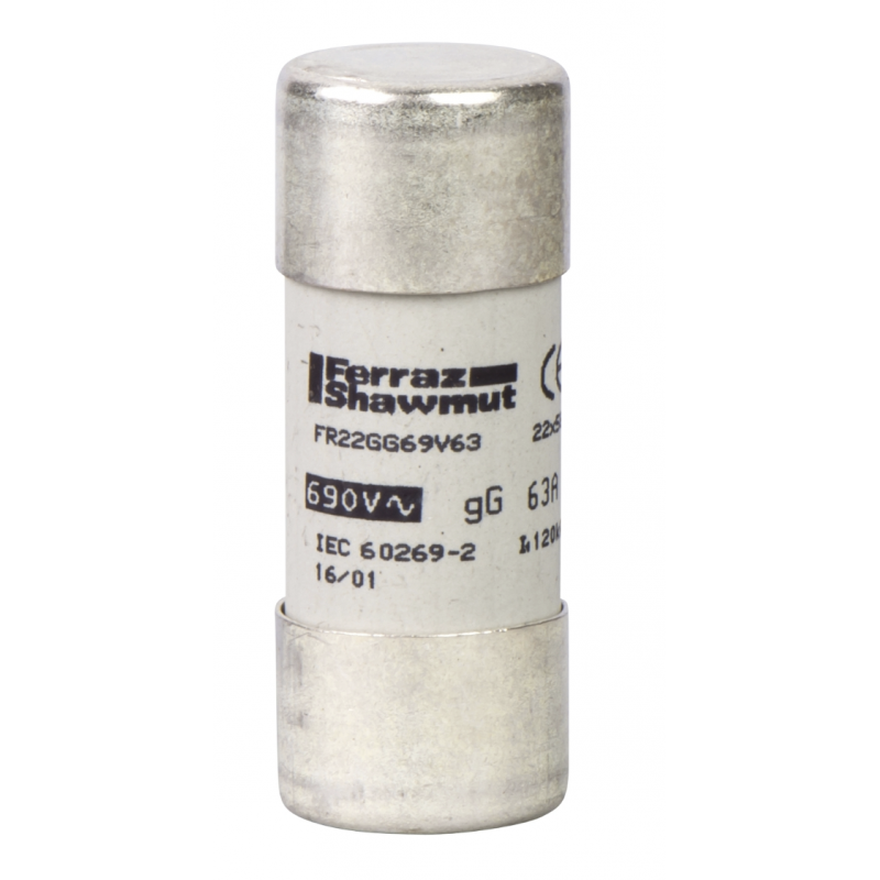 DF2FN10 - Предохранитель TeSys DF, 10 A, 22×58 мм, gG, 690 В АС, (10 шт) Schneider Electric