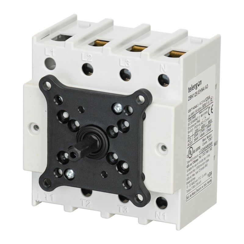 ZBK125EHN4A3 - Выключатель дверного монтажа с жесткой ручкой, 3P Ith-125 A, IP66, Telergon