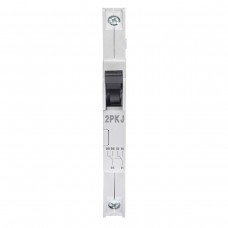 786105002000 - Дополнительный контакт состояния PKJ. 1 C/O для RI60. Iskra